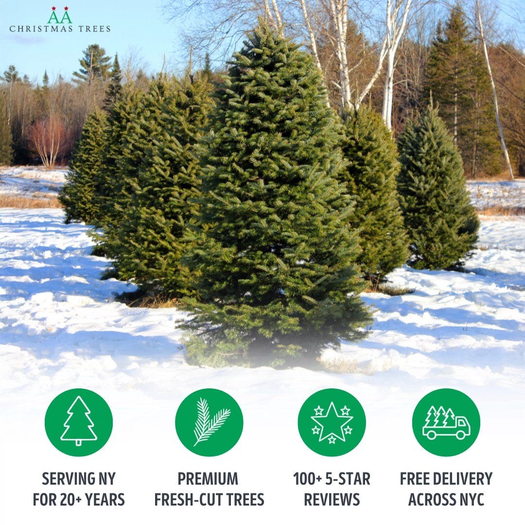 Christmas tree delivery NYC