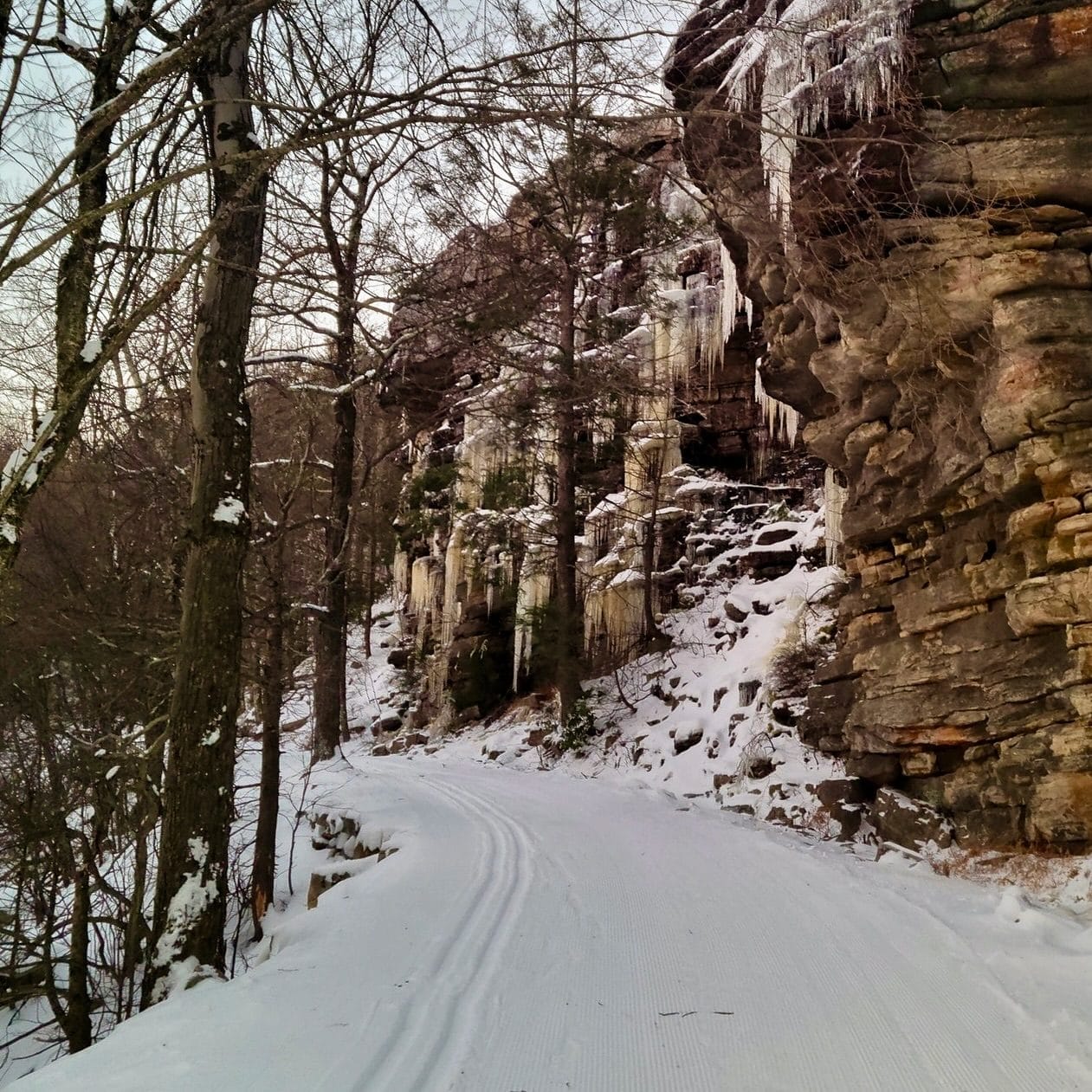 best places to go snowshoeing in New York