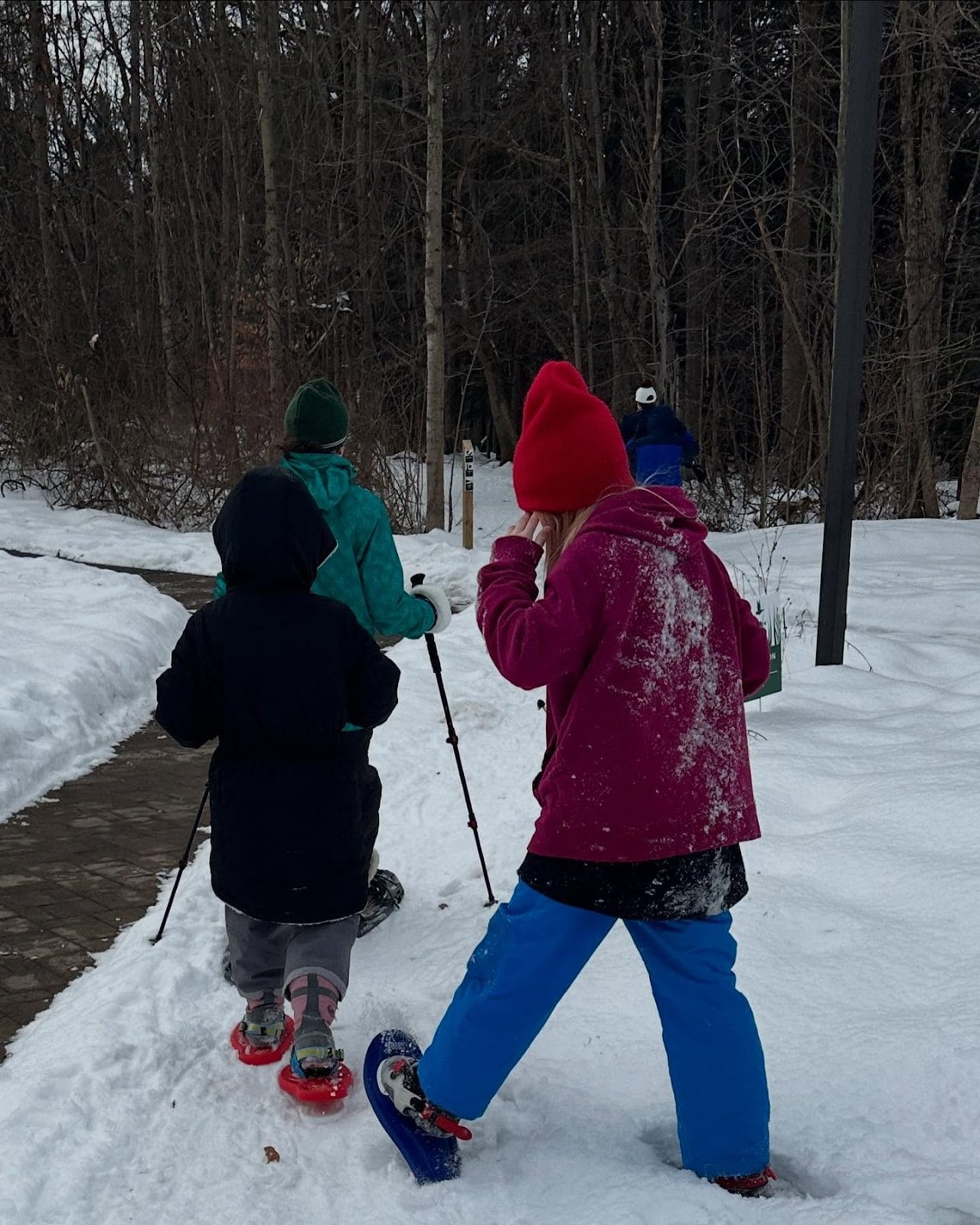 best places to go snowshoeing in New York