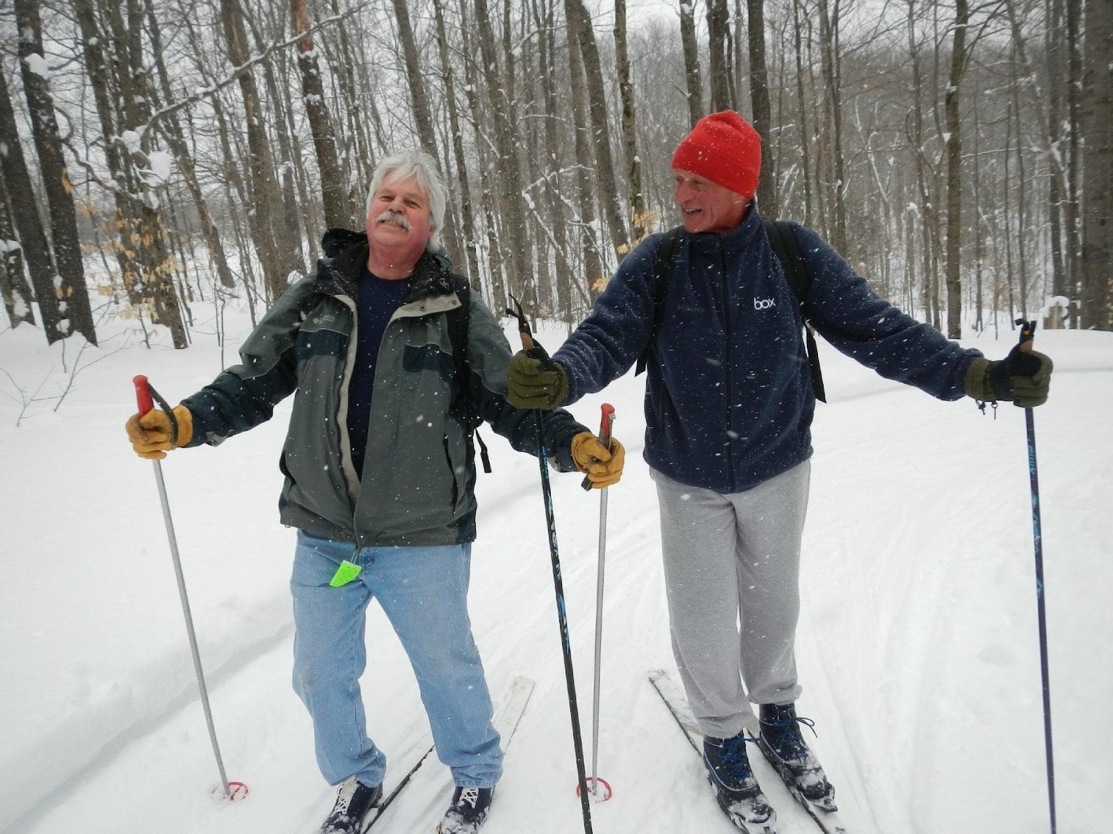 best places to go snowshoeing in New York
