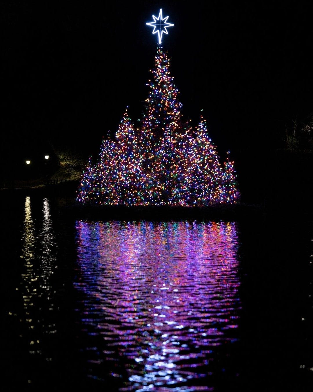 Best Christmas Lights in NYC