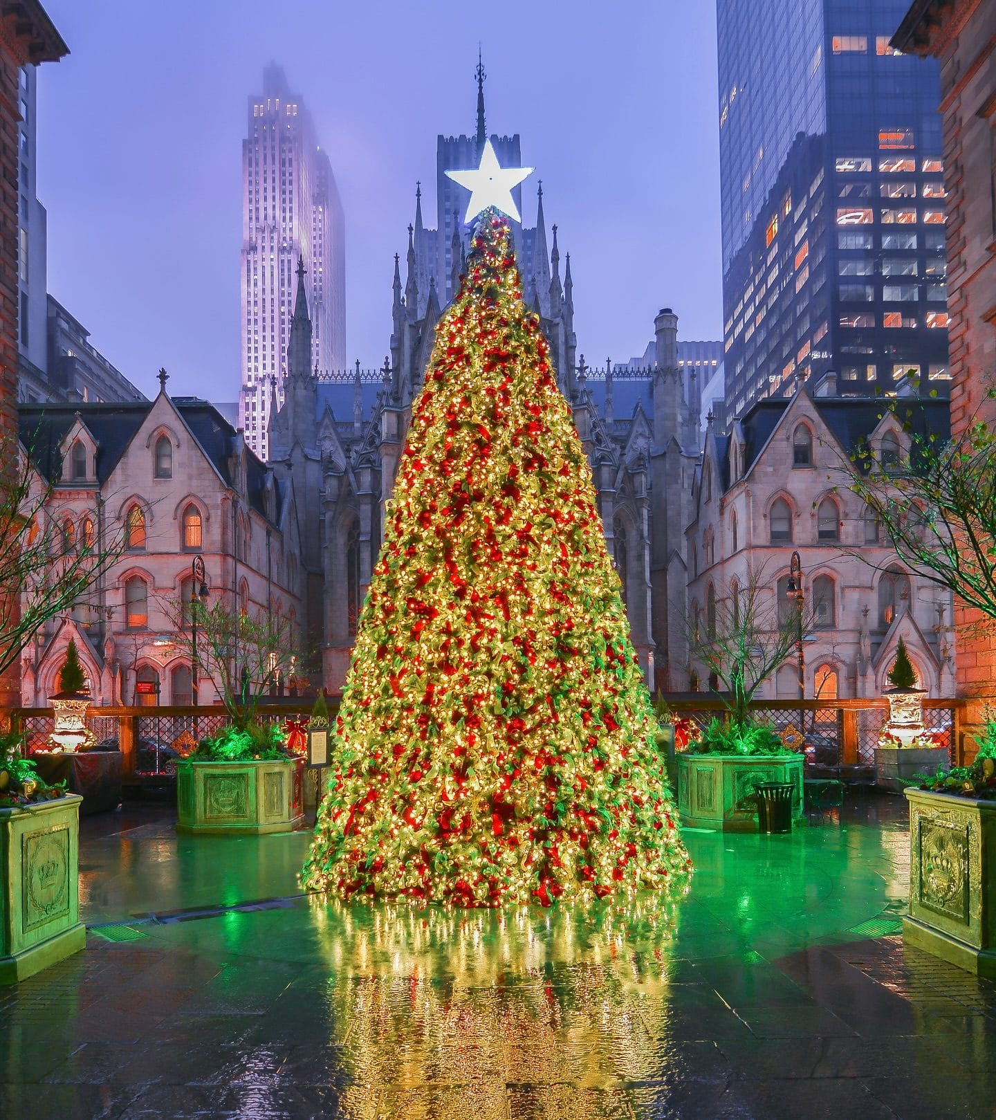 Best Christmas Lights in NYC