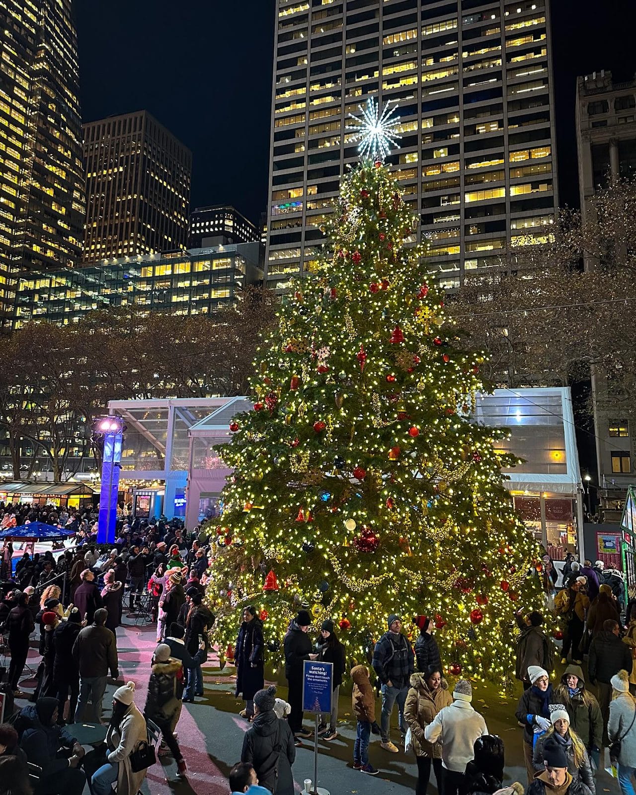 best NYC Christmas trees