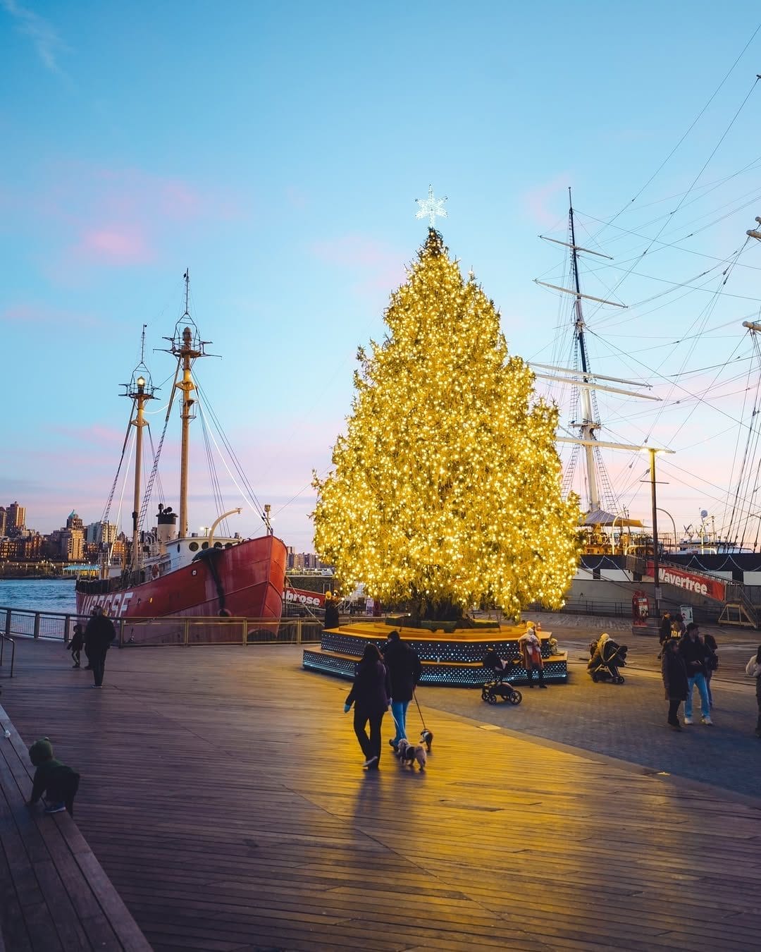 best NYC Christmas trees