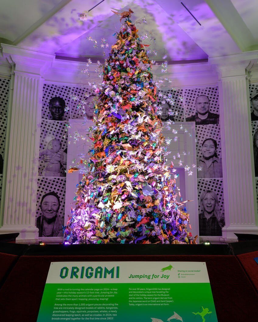 best NYC Christmas trees