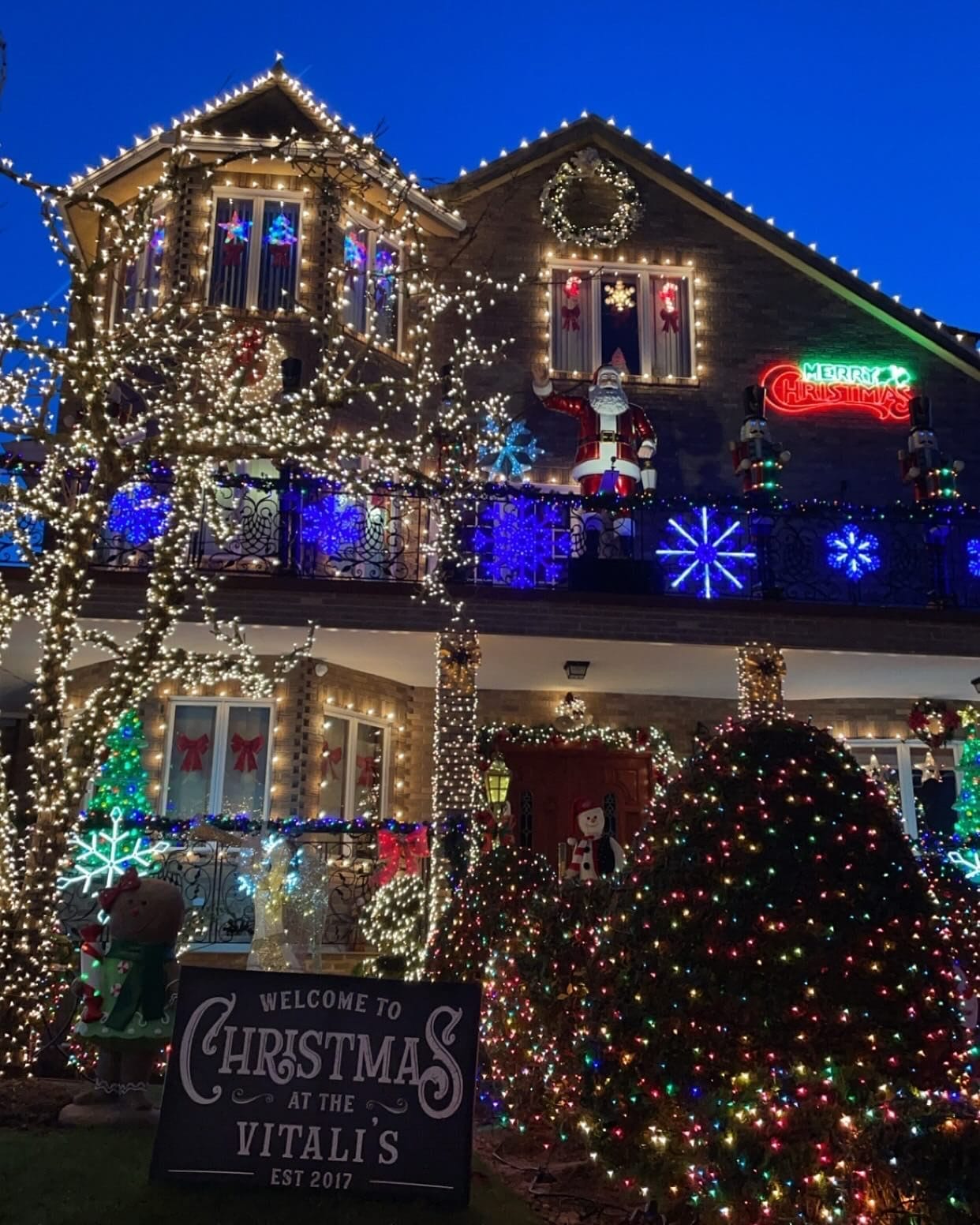 best NYC Christmas trees