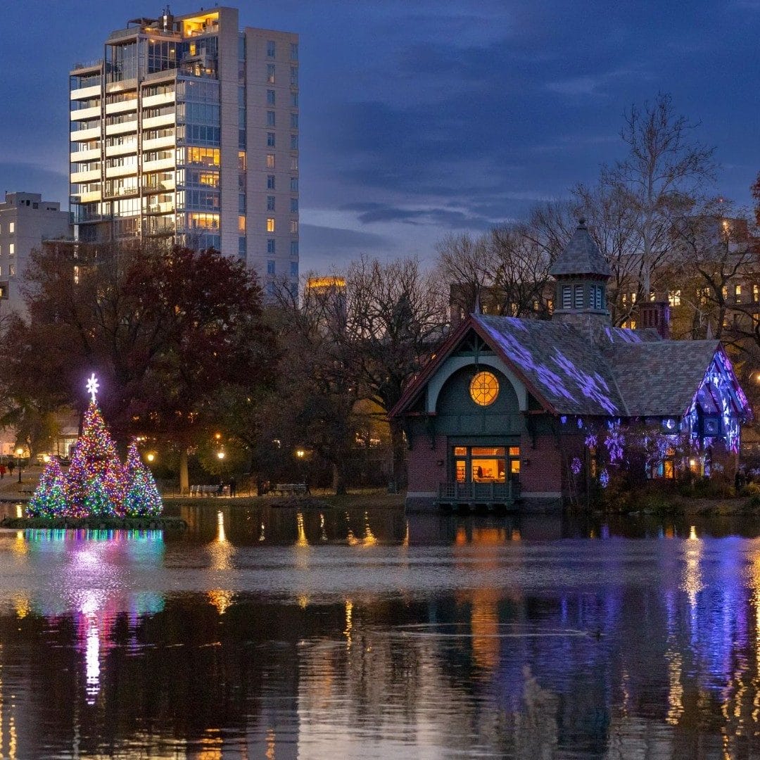 Things to Do in Central Park in Winter