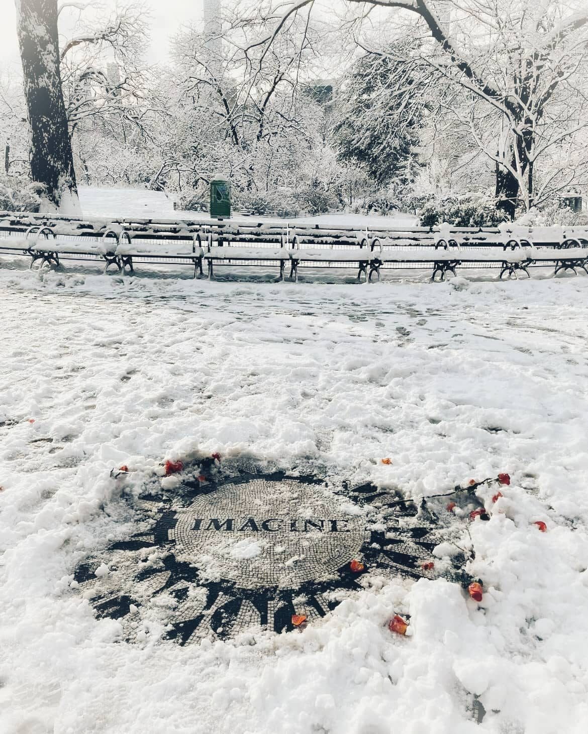 Things to Do in Central Park in Winter