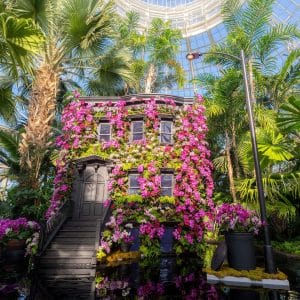 Things to do in New York City this week