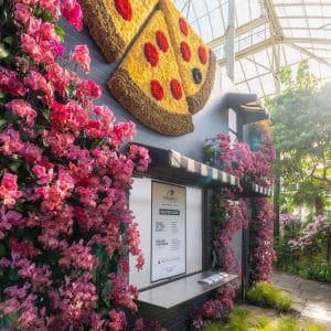 Things To Do in New York City This Week