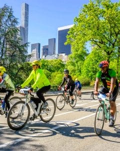 Things to Do in New York City