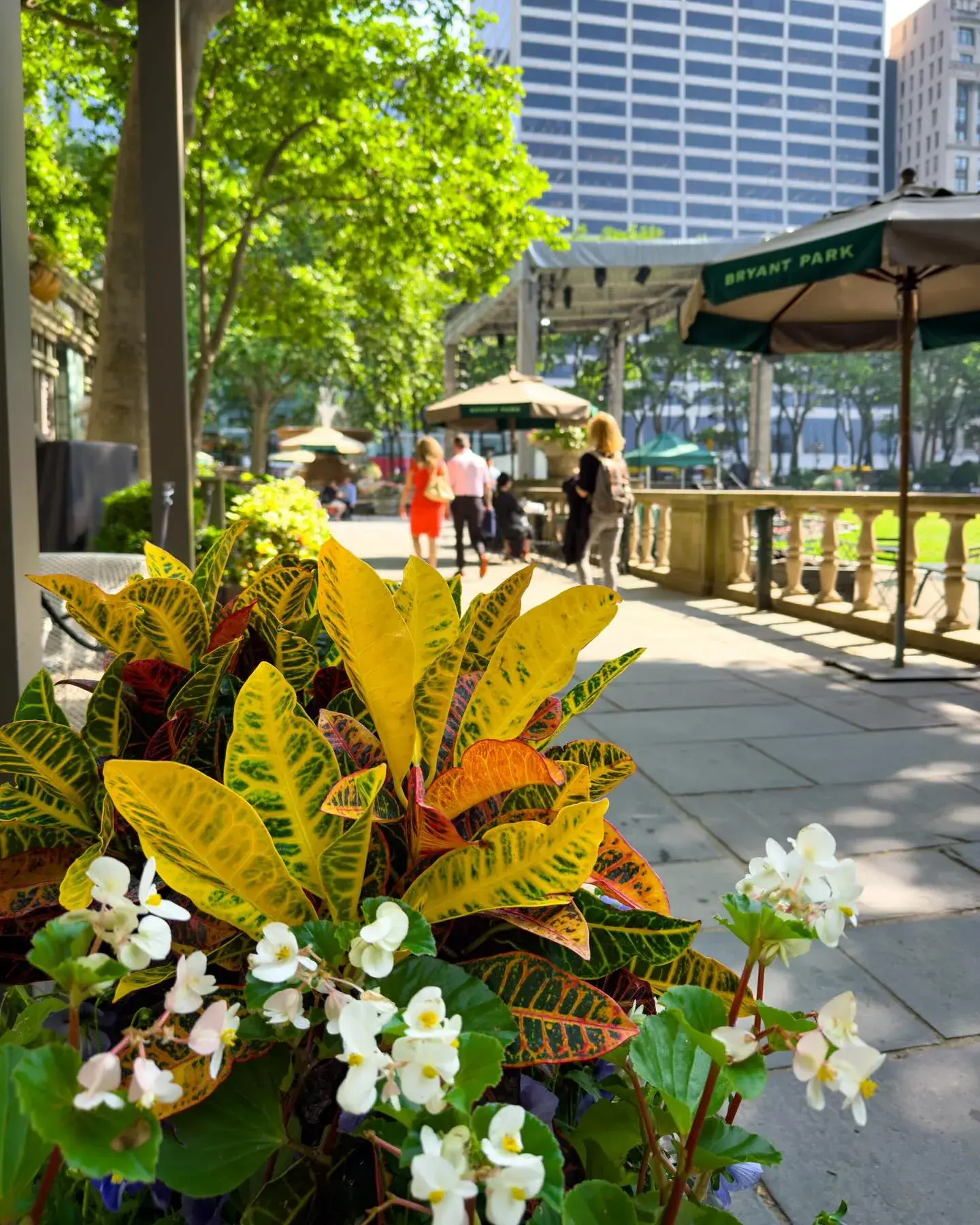 Things To Do in New York City This Week (June 29-July 5)